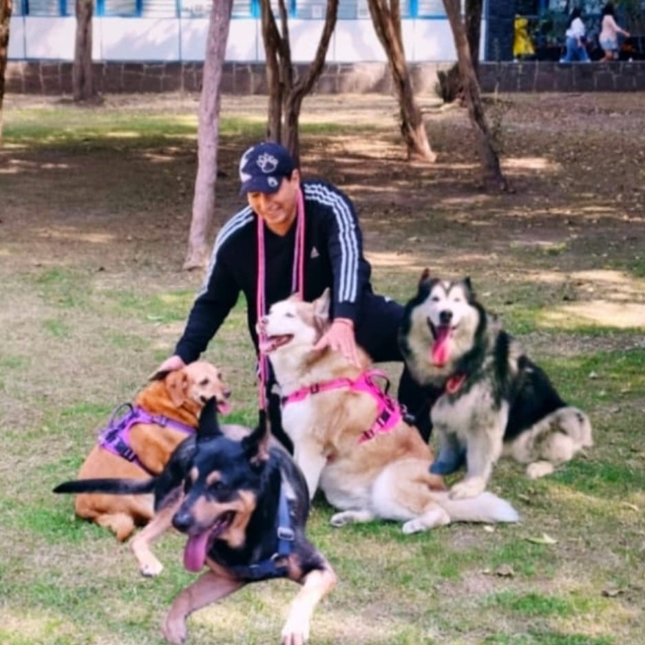 Terapia asistida por perros